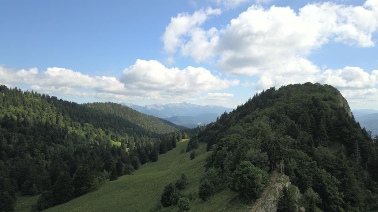 Plenouze Lejlighed Autrans-Meaudre-en-Vercors Eksteriør billede
