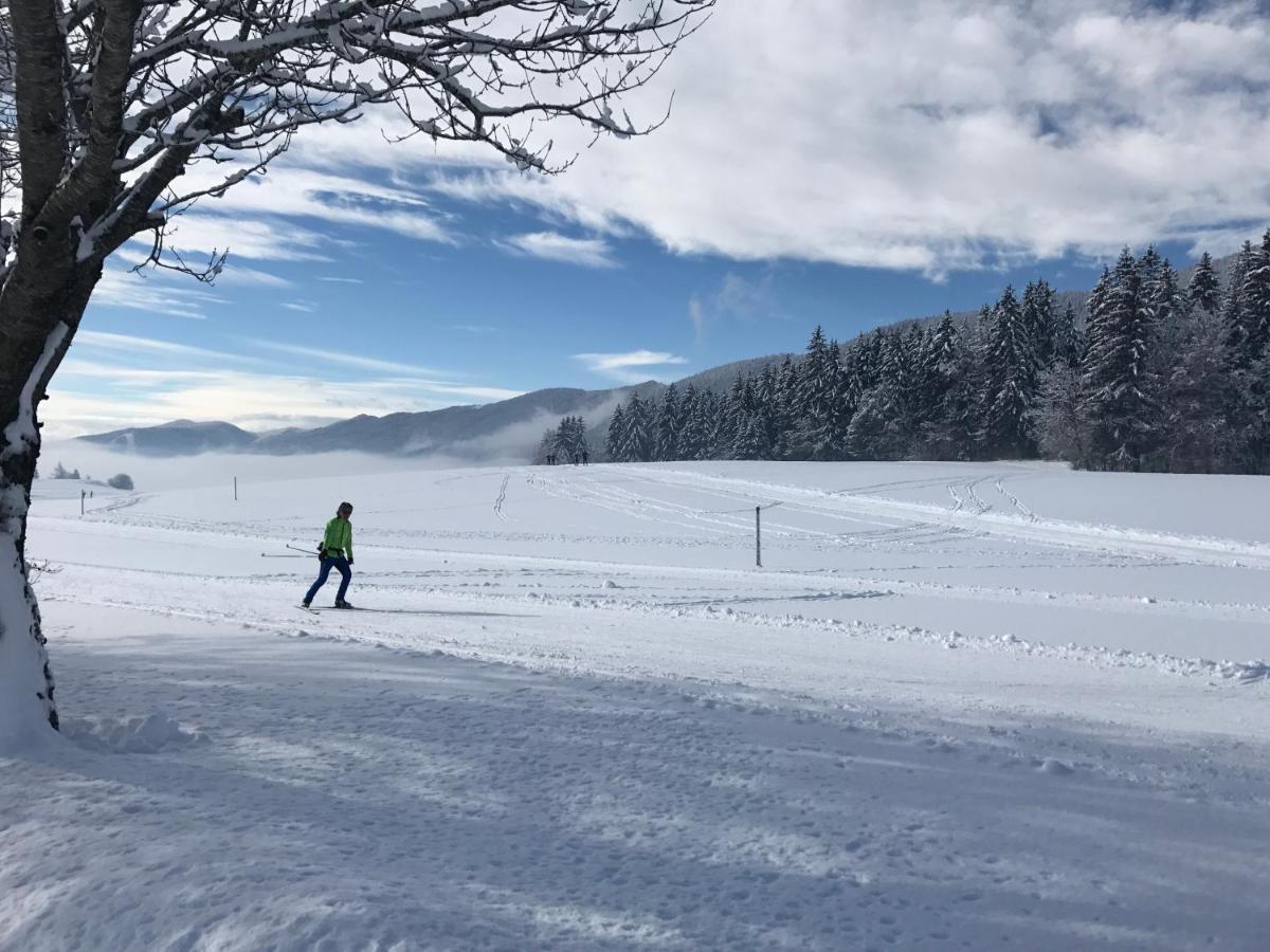Plenouze Lejlighed Autrans-Meaudre-en-Vercors Eksteriør billede